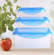 lunch box mould