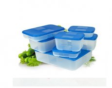 lunch box mould 1