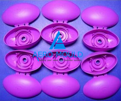 China cap mould maker