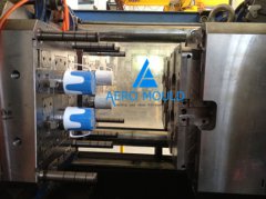 double color mold 2