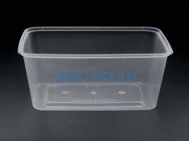 thin wall mold maker