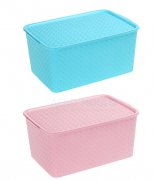 storage box mould