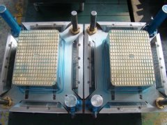 two cavity fruit crate mould