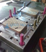 two cavity fruit crate mold