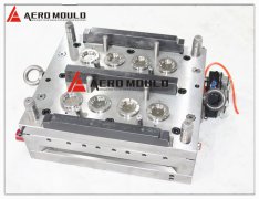 5 gallon cap mould