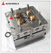 shaker lid mould