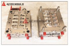 flip top cap mould